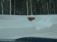 Yosemite_Valley (119)